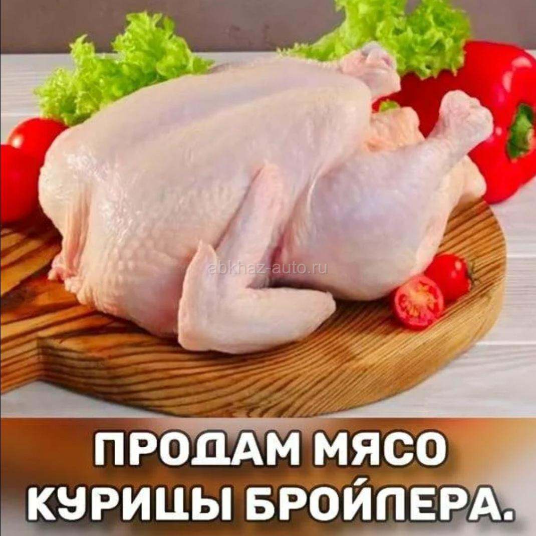 Куры бройлеры на мясо