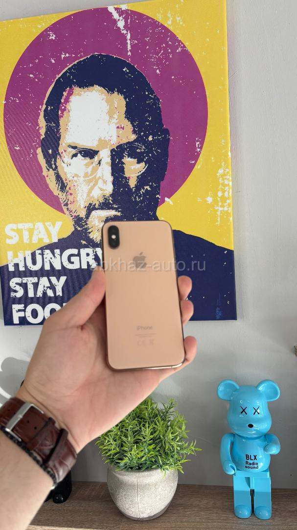 iPhone X S 256 g 🔋100%
