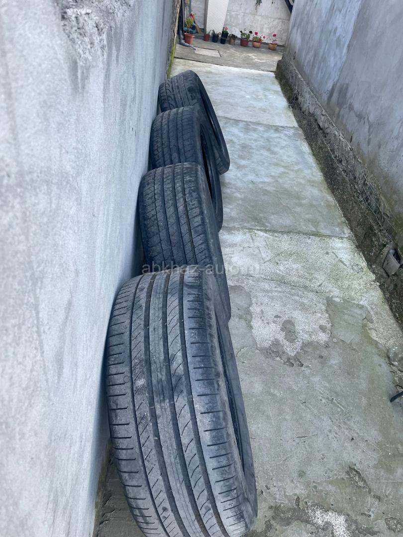 Шины