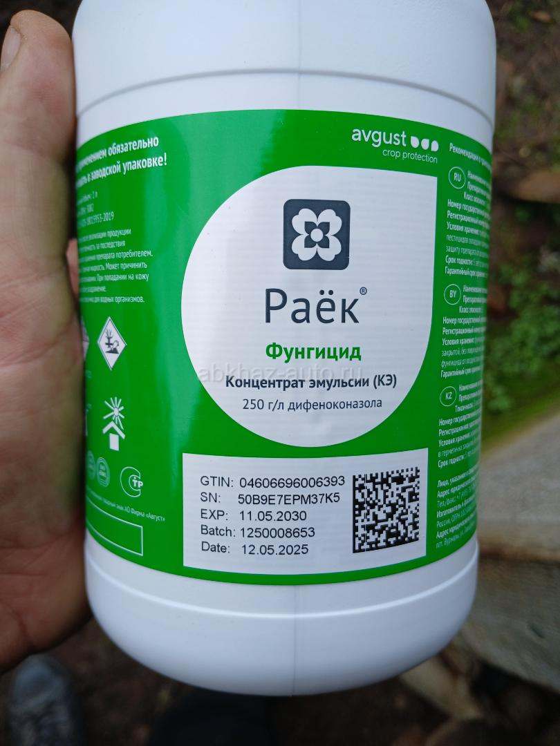 Раёк
