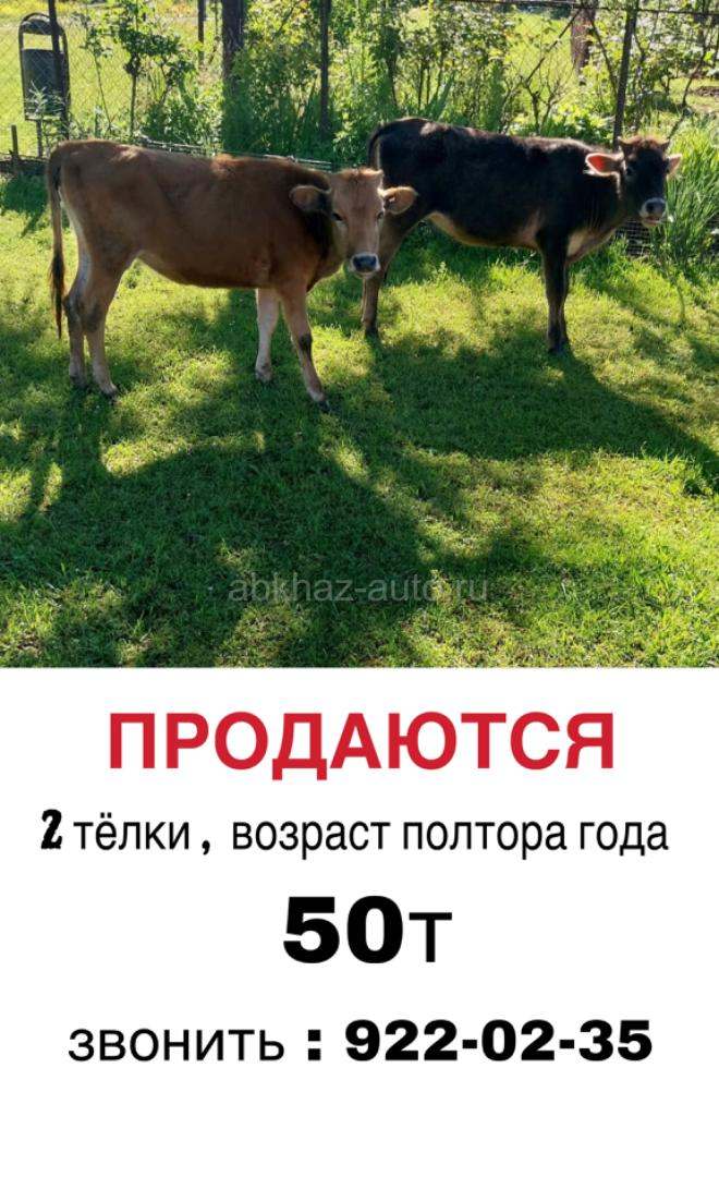 ПРОДАМ