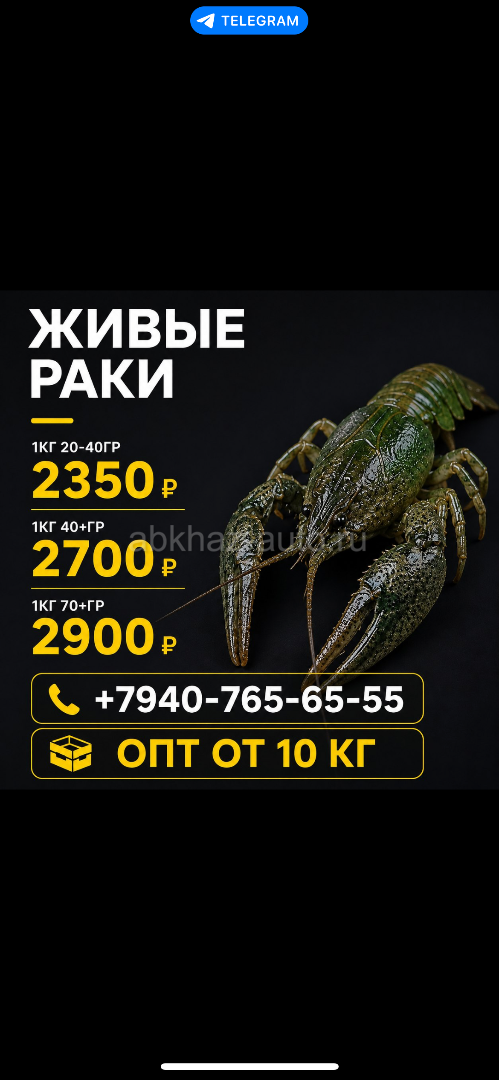 Живые раки. Доставка, по всей Абхазии 🦞
