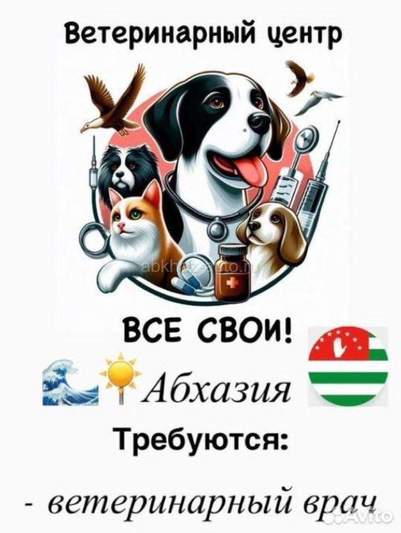 Ветеринарный врач