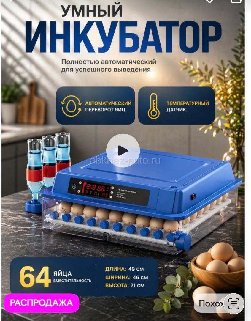 инкубатор