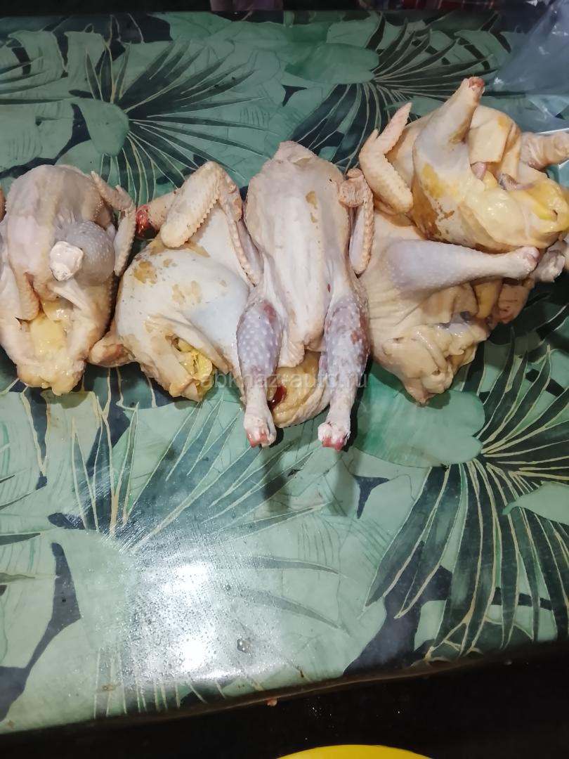 Чищенные куры домашние
