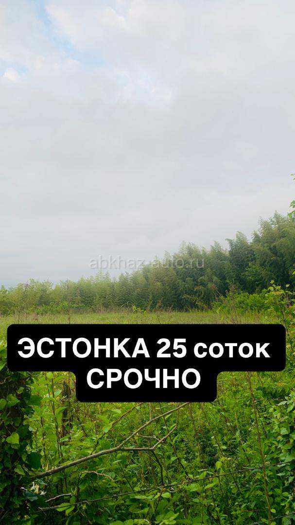 Срочно 470-тыс Эстонка  25 соток 🔥