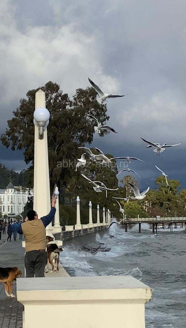 Ищу работу