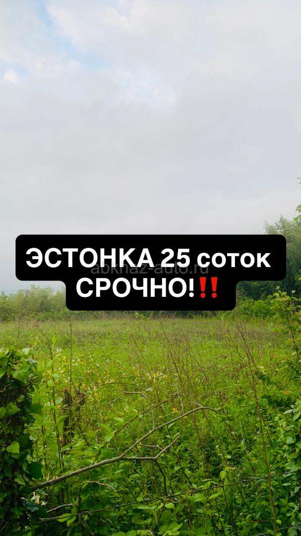 Срочно ‼️