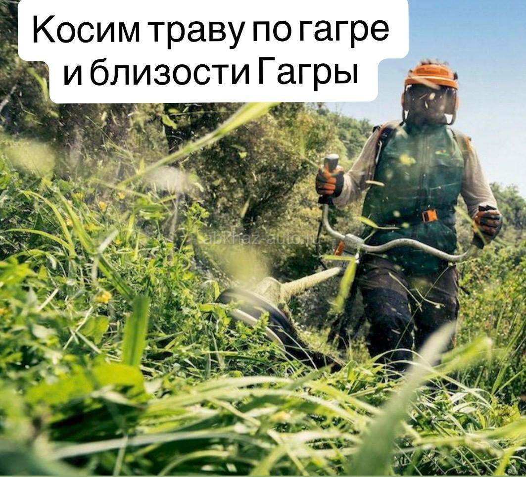 Покос травы