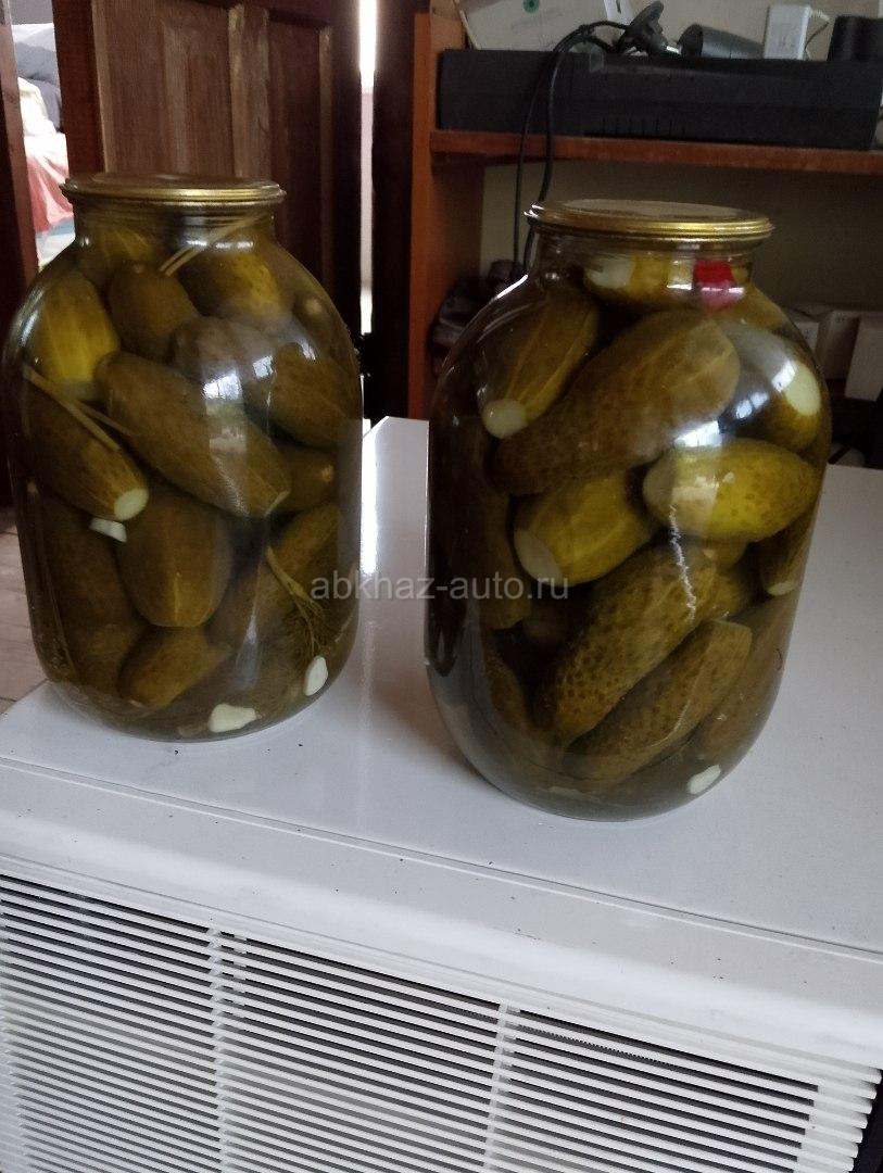 Огурцы