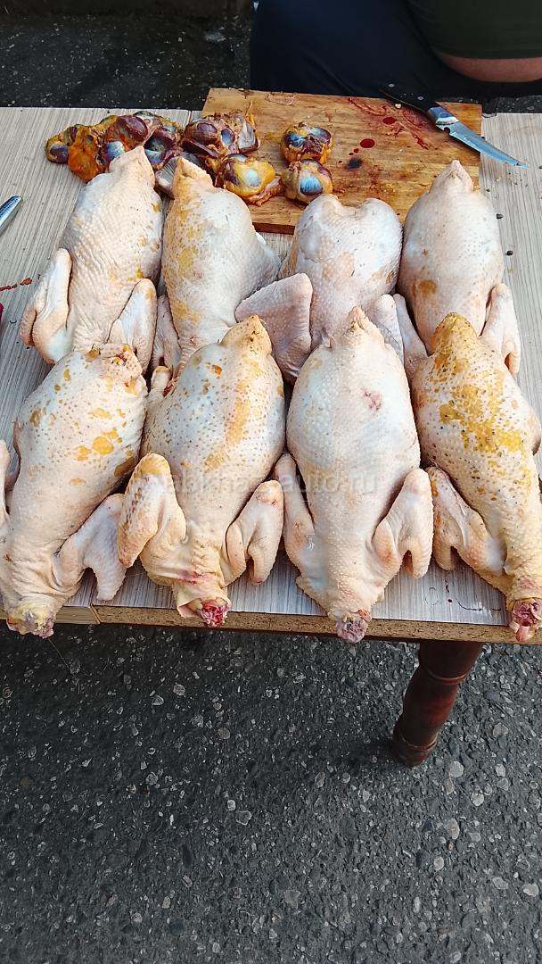 Домашние куры чищенные