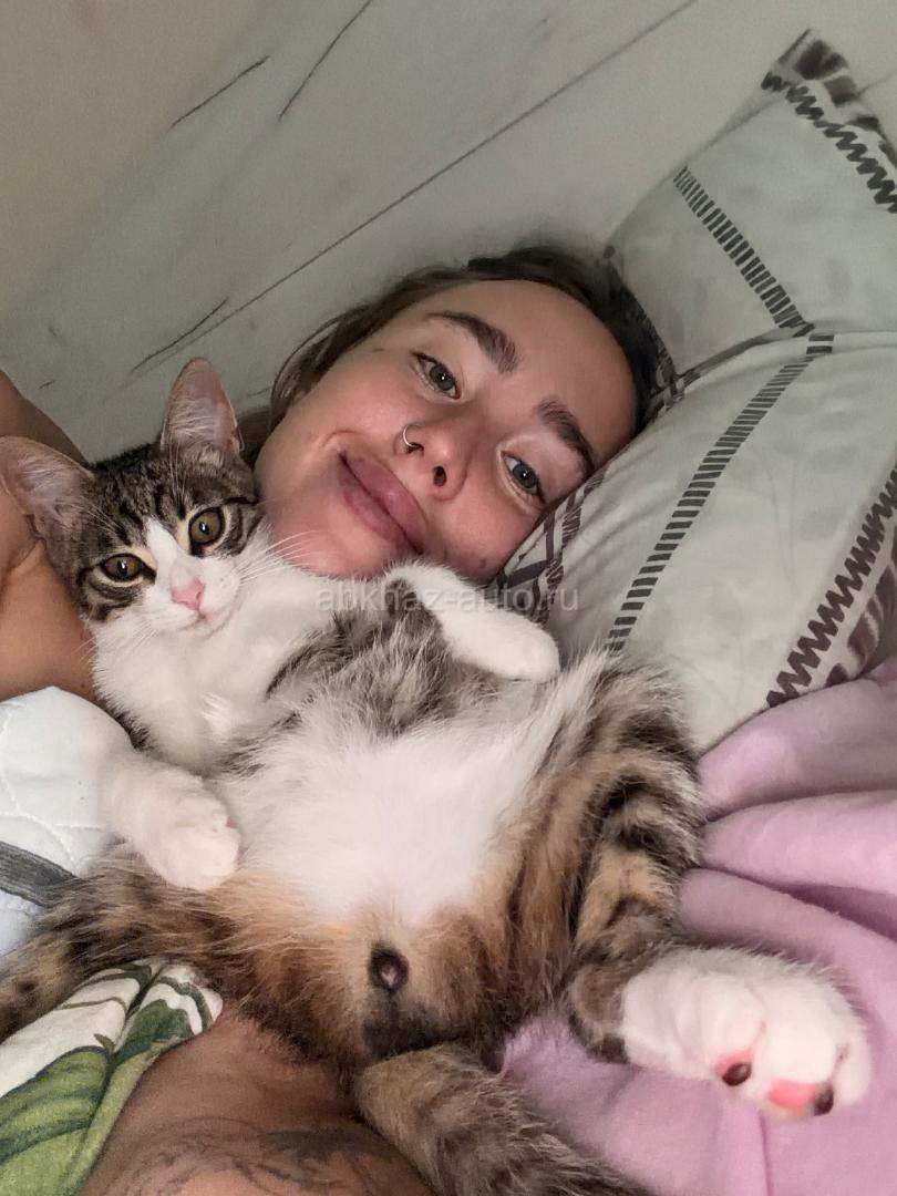 Котенок мальчик в добрые руки