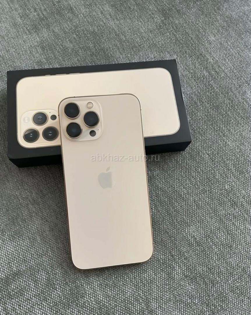 iPhone 13 Pro Max 256