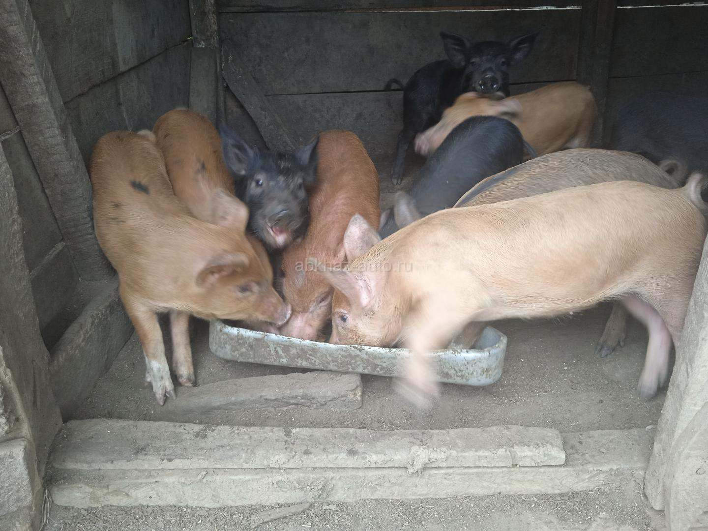 Продаю